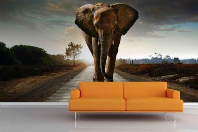 elephants